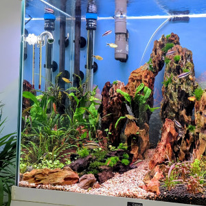 Publication de Yannick66