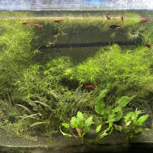 Publication de Emma1234