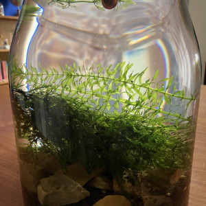 Publication de fabioushka