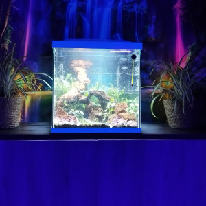 Publication de Lgn02