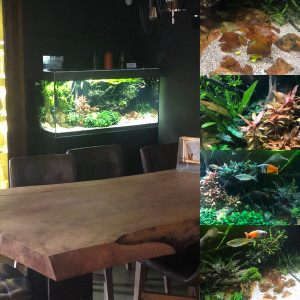 Publication de Gulliver