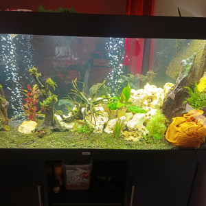 Publication de Jfg22