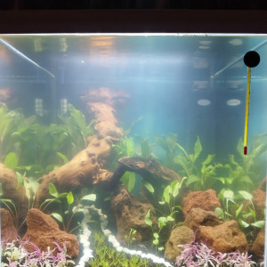 Publication de Lgn02