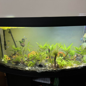 Publication de Bibii07