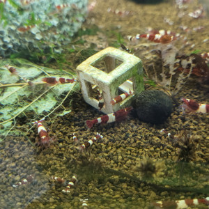 Publication de Tedd80