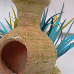 Amphore algues bleues