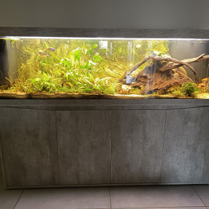 Aquarium 500L