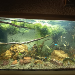 Publication de J2f.aqua