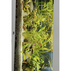 Publication de florence11