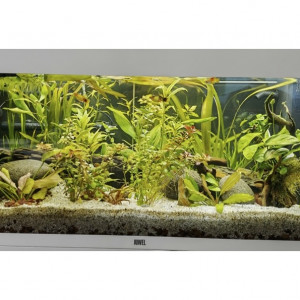 Publication de florence11