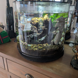 Biorb Tube de 35 litres Acrylique