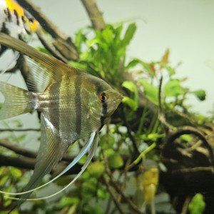 Publication de Jordix7