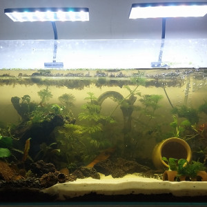 Publication de Yoshi971