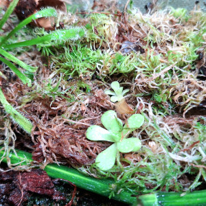 Publication de ArtemusKlegg