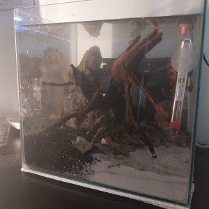 Publication de Yoshi971