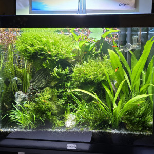 Publication de Stephane83