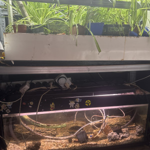 Publication de cambierguillaume