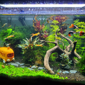 Publication de Mariekiwi