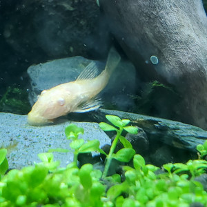 Publication de Mariekiwi