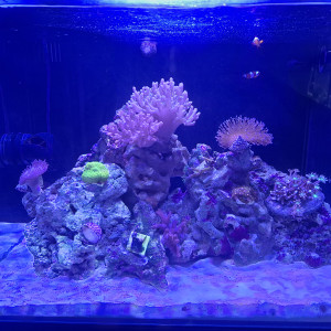 Publication de Guiguidu57