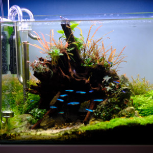 Publication de Jo2212