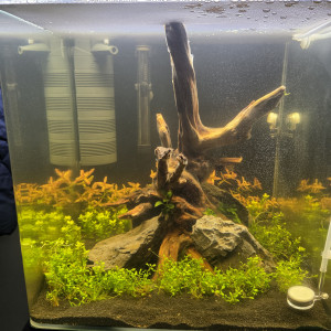 Publication de jbaptistide