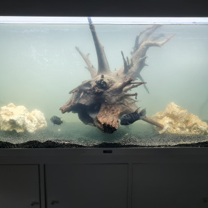 Publication de MelodieRose58