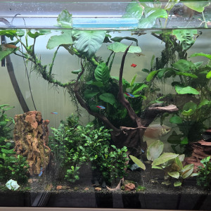 Publication de jpanasonic