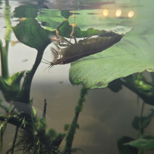 Publication de jpanasonic