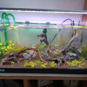 Publication de BertrandD