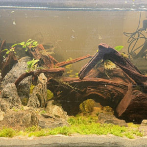 Publication de Thibaut12390