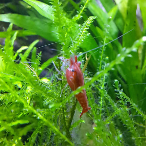 Publication de Jordane78