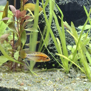 Publication de StephL