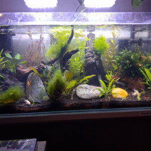 Publication de Momo24