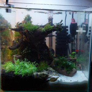 Publication de Yoshi971