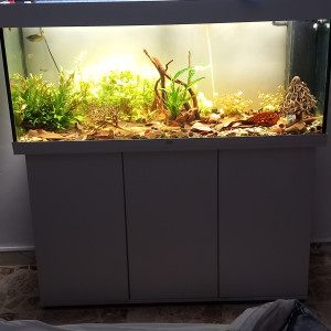 Publication de mikey