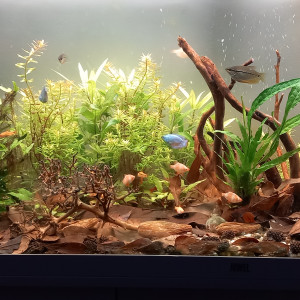 bac asie du sud est  240 litres