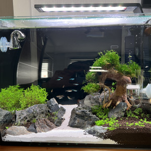 Publication de Yves672