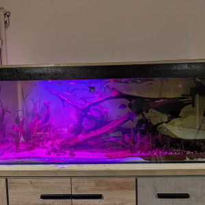 Publication de Melv1_2_3