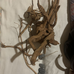 Publication de luciol3