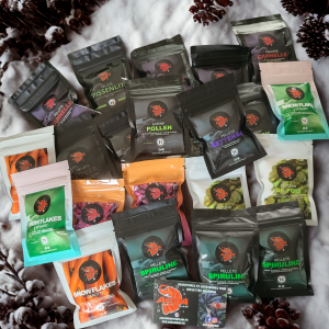 Publication de Anthony55300