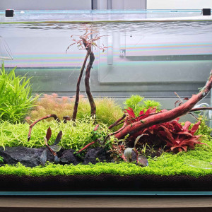 Publication de clem-jacquot