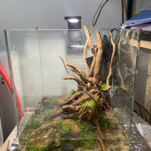 Publication de luciol3