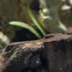 Publication de StephL