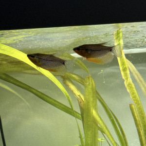 Publication de kevinnn