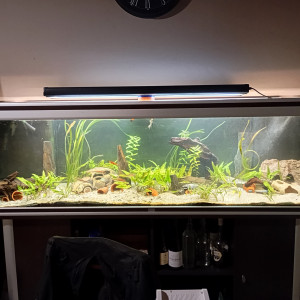 Aquarium 600 litres
