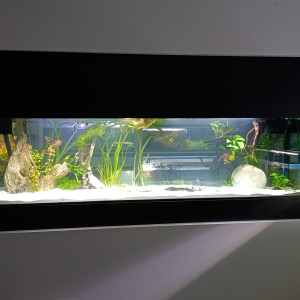 Publication de DONDIEG33