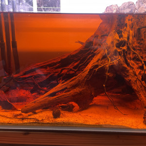 Publication de Augustin.stglr