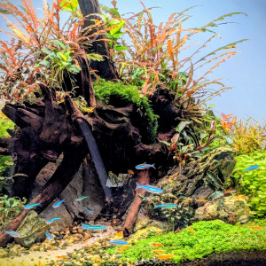 Publication de Jo2212