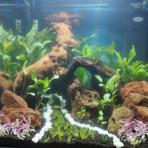 Publication de Lgn02